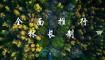 林(lín)長(cháng)制綜合管控建設解決方案